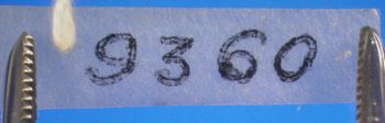 Media type: image; Herpetology A-9360